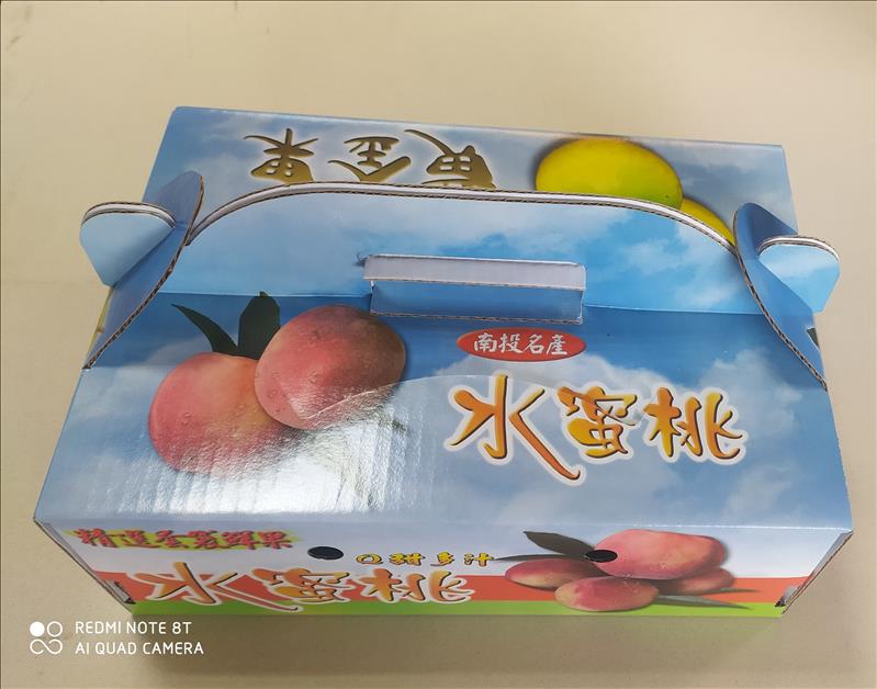 黃金果/水蜜桃  手提禮盒