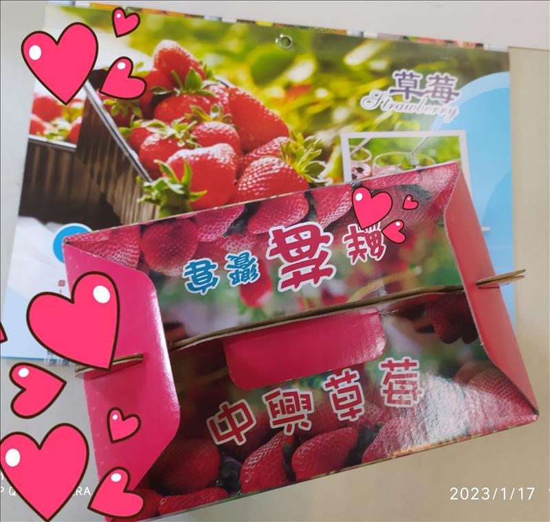 彩莓手提盒